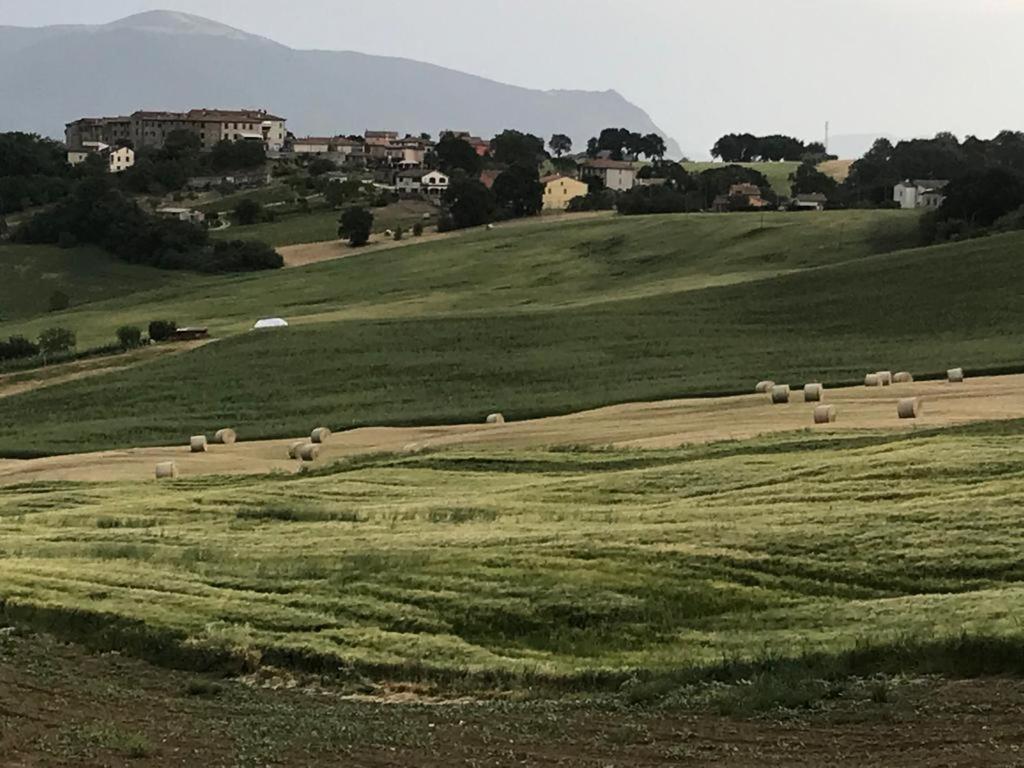 Il Borgo Di Olive Hotel Sismano ภายนอก รูปภาพ